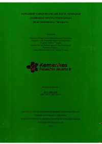Image of Pengaruh Tahan Buang Air Kecil Terhadap Sonopattern Ginjal di Rumah Sakit Medirossa Cikarang