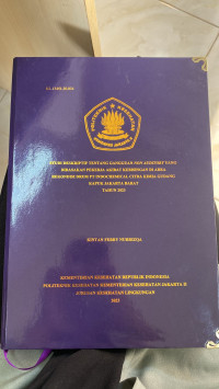 Studi Deskriptif Tentang Gangguan Non Auditory Yang Dirasakan Pekerja Akibat Kebisingan di Area Rekondisi Drum PT. Indochemical Citra Kimia Gudang Kapuk Jakarta Barat Tahun 2023