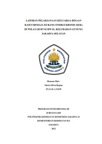 Laporan Pelaksanaan Kegiatan Keluarga Binaan (KABIN) Kasus Remaja Kurang Energi Kronis (KEK) di Wilayah RT 02 RW 01, Kelurahan Gunung, Kecamatan Kebayoran Baru, Jakarta Selatan Tanggal 13 Februari - 2 Maret 2022