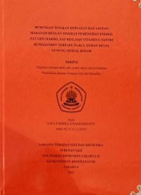 Hubungan Tingkat Kepuasan dan Asupan Makanan dengan Tingkat Pemenuhan Energi, Zat Gizi Makro, Zat Besi, dan Vitamin C Santri di Pesantren Terpadu Darul Quran Mulia Gunung Sindur, Bogor