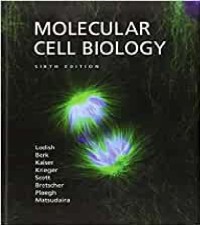 Molecular Cell Biology