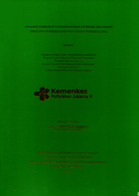 Image of Analisis Gambaran Ultrasonografi Liver Selama Terapi Obat Anti Tuberkulosis Pada Pasien Tuberkulosis
