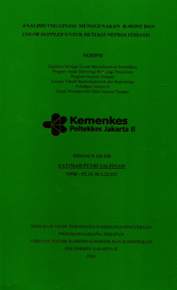 Image of ANALISIS USG GINJAL MENGGUNAKAN  B-MODE DAN COLOR DOPPLER UNTUK DETEKSI NEFROLITHIASIS